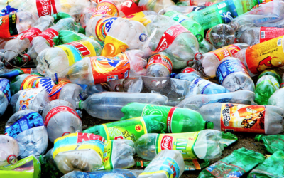 Nuevas certificaciones para los envases de plástico no reutilizables